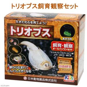 日本動物薬品　ニチドウ　トリオプス飼育観察セット　カブトエビ