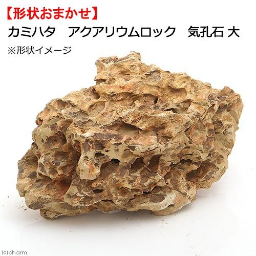 カミハタ　アクアリウムロック　気孔石　大　形状お任せ