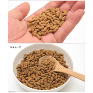 ニチドウ メディモモンガ 300g 善玉乳酸菌入りの詳細画像1