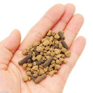 鈴虫飼育用赤玉土(プロ仕様) 活性炭強化タイプ...の詳細画像1
