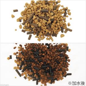 鈴虫飼育用赤玉土(プロ仕様) 活性炭強化タイプ...の詳細画像2
