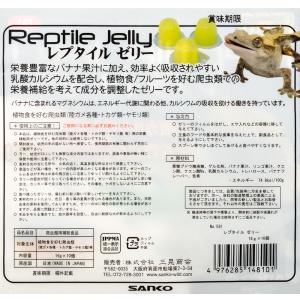 三晃商会 レプタイルゼリー 16g×10P E...の詳細画像2
