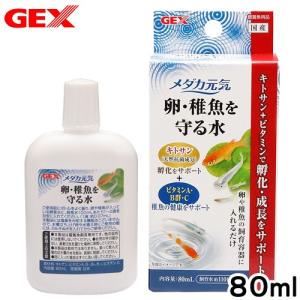 ＧＥＸ　メダカ元気　卵・稚魚を守る水　８０ｍｌ｜チャーム charm ヤフー店