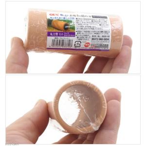 GEX 癒し水景 素焼きの隠れ家 丸土管ミニ ...の詳細画像1