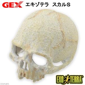 GEX エキゾテラ スカル Sの商品画像