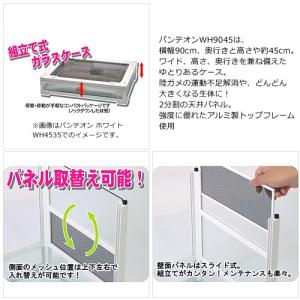 爬虫類ケージ 三晃商会 パンテオン ホワイト ...の詳細画像1