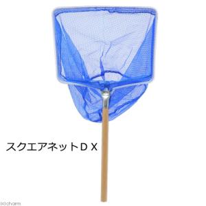 エーワン　スクエアネットＤＸ　生き物採集　ガサガサ