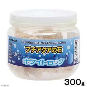 GEX（ジェックス） 癒し水景 ピュアプランツ チドメグサ : XPRICE