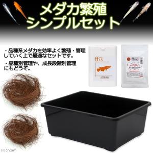 送料込】メダカ舟 黒容器 白容器 14L 100個 ※事業者限定 水槽 トロ舟