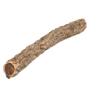 コルク樫　小枝　（直径６〜１０×長さ６０ｃｍ未満）　園芸　素材　爬虫類　レイアウト