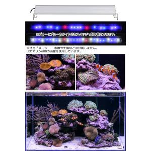アクロ TRIANGLE LED MARINE...の詳細画像2