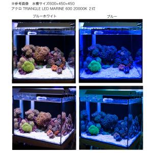アクロ TRIANGLE LED MARINE...の詳細画像3