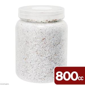 菌糸ビン　ＸＬ−ＰＯＴ　ヒラタケ　８００ｃｃ　１本　透明ボトル