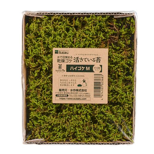 水作　活きている苔　ハイゴケＭ　ドライタイプ