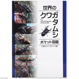 世界のクワガタムシ ポケット図鑑の商品画像