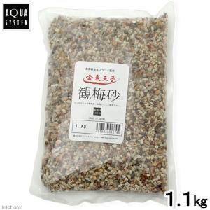 アクアシステム　観梅砂　１．１ｋｇ　金魚　底床｜chanet