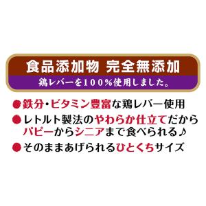 ペティオ 素材そのまま 完全無添加 生後3ヶ月...の詳細画像3