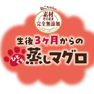 ペティオ 素材そのまま ねこちゃんの完全無添加...の詳細画像2