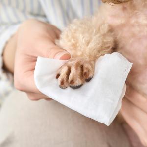 アイリスオーヤマ ペット用ウェットティッシュ ...の詳細画像3