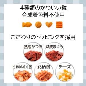キャットフード 懐石 5つのごほうび 腎臓の健...の詳細画像3
