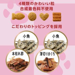 キャットフード 懐石 2つのごほうび 小魚添え...の詳細画像3