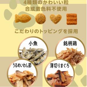 キャットフード 懐石 2つのごほうび 小魚とさ...の詳細画像3