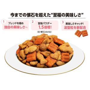 キャットフード 懐石 2つのごほうび グレイン...の詳細画像1