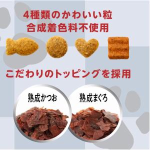 キャットフード 懐石 2つのごほうび グレイン...の詳細画像3