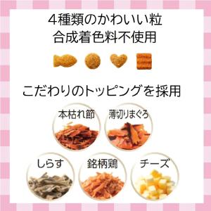 キャットフード 懐石 5つのごほうび 200g...の詳細画像3