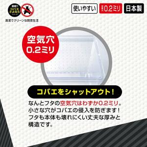 コバエさよなら飼育ケース ミニの詳細画像2