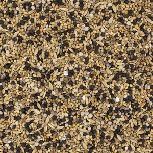 NPF エクセル カナリア 500g 皮付き ...の詳細画像2