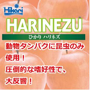 キョーリン ひかり ハリネズ 300g ソフト...の詳細画像3