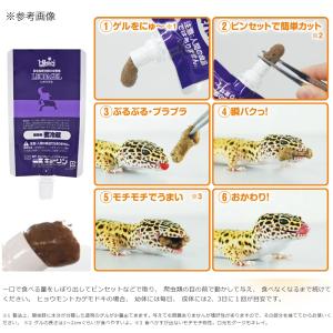 キョーリン レオパゲル 60g 爬虫類 フード...の詳細画像2