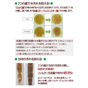 キョーリン ゴールドプロスベジ 12g 金魚の...の詳細画像1