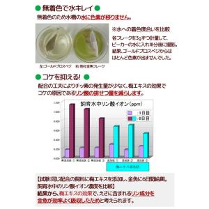 キョーリン ゴールドプロスベジ 12g 金魚の...の詳細画像2