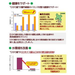 キョーリン ゴールドプロスベジ 12g 金魚の...の詳細画像3