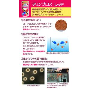 キョーリン マリンプロスレッド 50g 動物食...の詳細画像1
