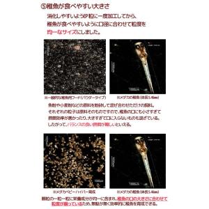 キョーリン メダカベビー ハイパー育成 20g...の詳細画像2