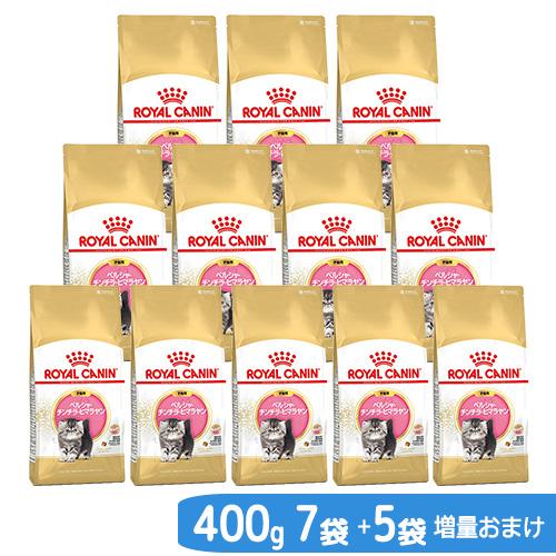 アウトレット品　【増量おまけ】ロイヤルカナン　子猫　ペルシャ・チンチラ・ヒマラヤン　子猫用　４００ｇ...