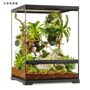 (大型)GEX エキゾテラ グラステラリウム ...の詳細画像2