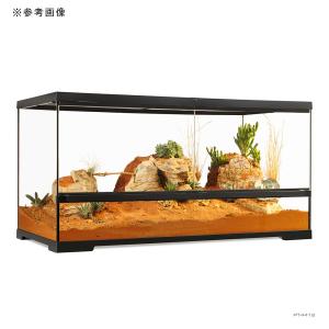 (大型)GEX エキゾテラ グラステラリウム ...の詳細画像2