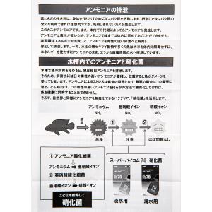 バイコム アンモニウムテストキット 5本入り ...の詳細画像5