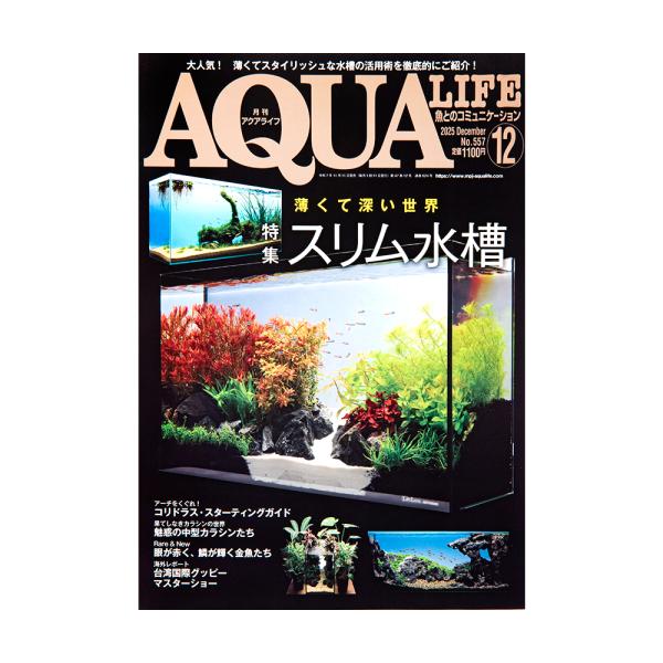 アクアライフ　１２月号（２０２５）