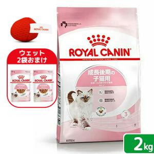 ロイヤルカナン　子猫　キトン　成長後期の子猫用　生後１２ヵ月齢まで　２ｋｇ　ジップ付　＋　オリジナルおもちゃ