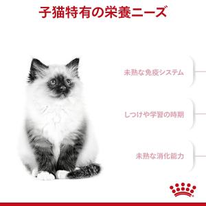 ロイヤルカナン 子猫 キトン 成長後期の子猫用...の詳細画像4