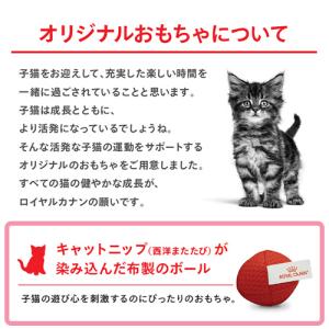 ロイヤルカナン 子猫 マザー&ベビーキャット ...の詳細画像2