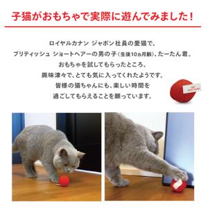ロイヤルカナン 子猫 マザー&ベビーキャット ...の詳細画像3