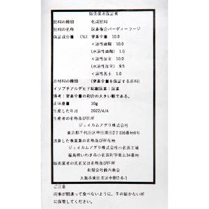スイレンとハスの肥料 ワンタッチ肥料 10g ...の詳細画像1