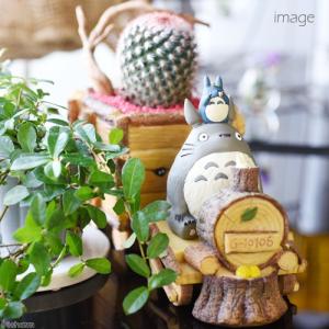 《終売》（観葉植物）ジブリプランター　となりのトトロ　お花機関車ととろ号　サボテン仕立て（植え込み完成品）（１鉢）