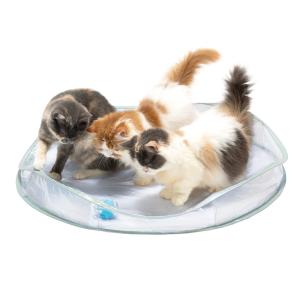 猫用 おもちゃ 猫壱 キャット電動トイセット クリアの詳細画像2